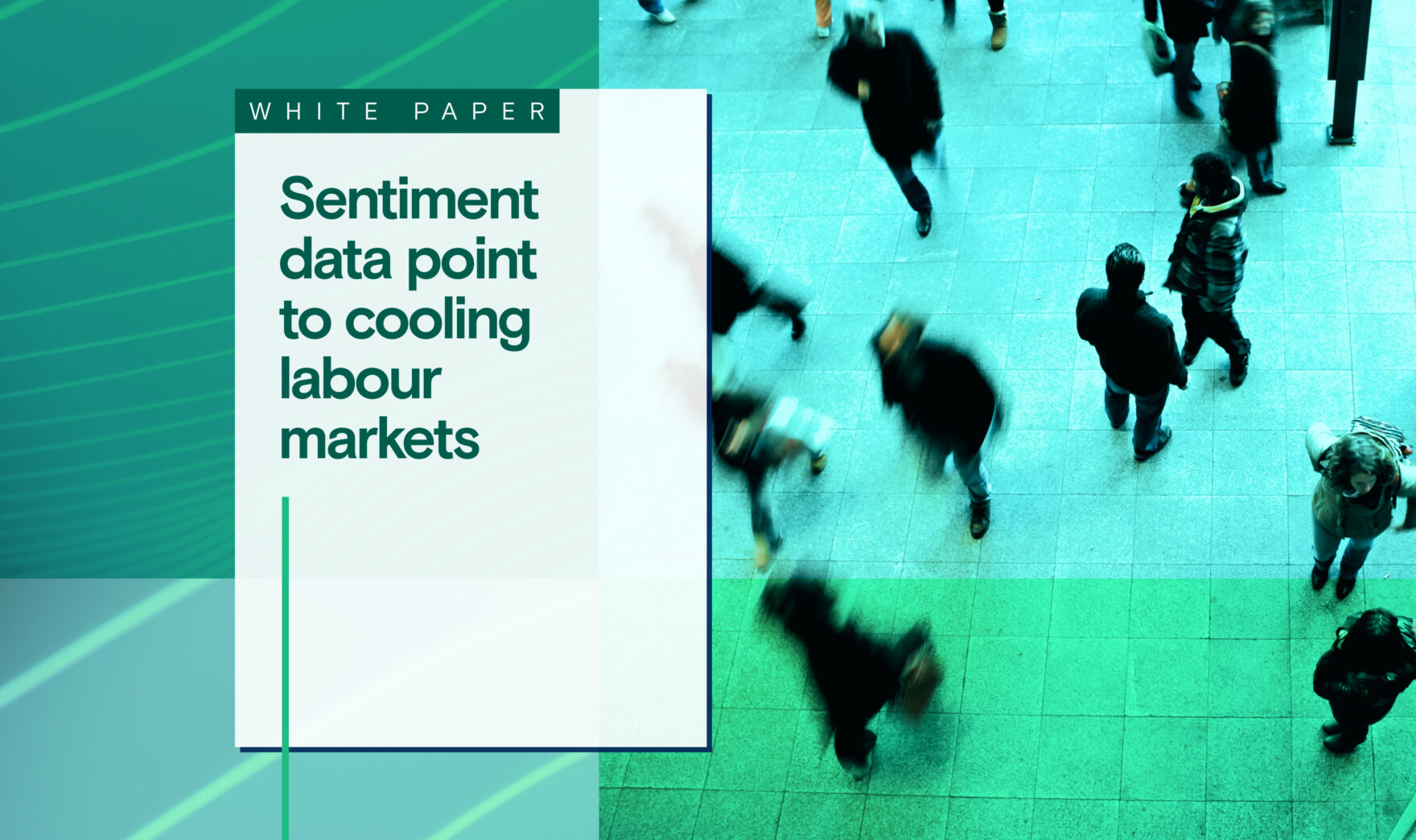 White paper: Sentiment data point to cooling labor markets